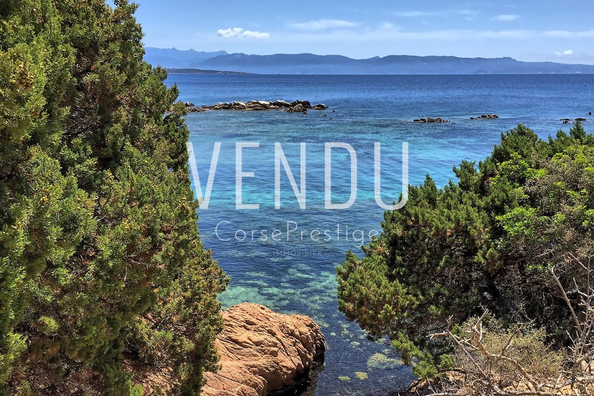 corse-propriete-pieds-dans-l-eau-n56