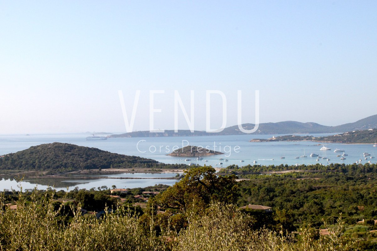 porto-vecchio-terrain-a-construire-n15