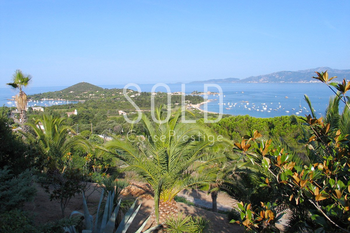 fantastic-piece-of-land-to-build-ajaccio-m10 fantastic-piece-of-land-to-build-ajaccio-m10